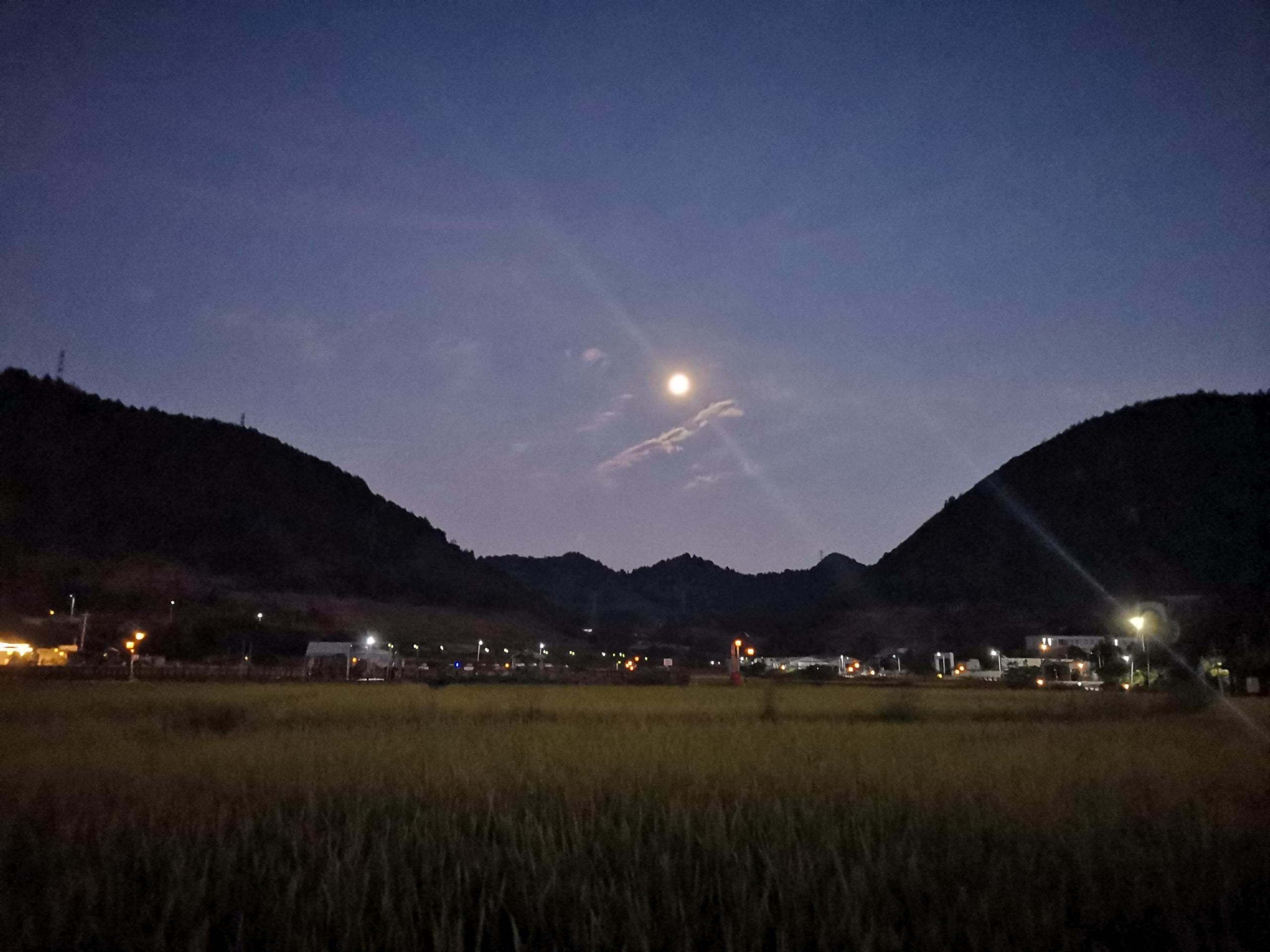 月夜稻田与远处村舍的灯火