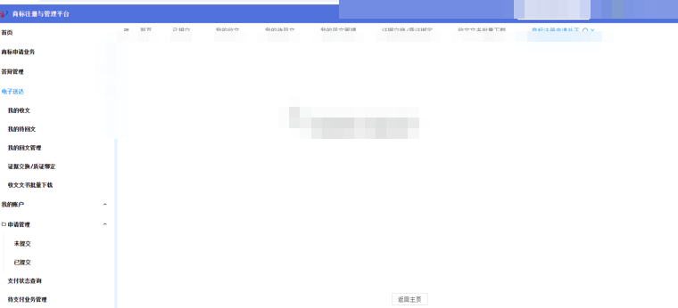补正提交成功的页面